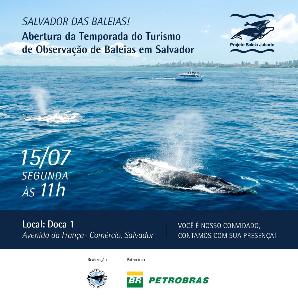 Temporada de observação de baleias-jubarte será aberta oficialmente em Salvador na próxima segunda (15)