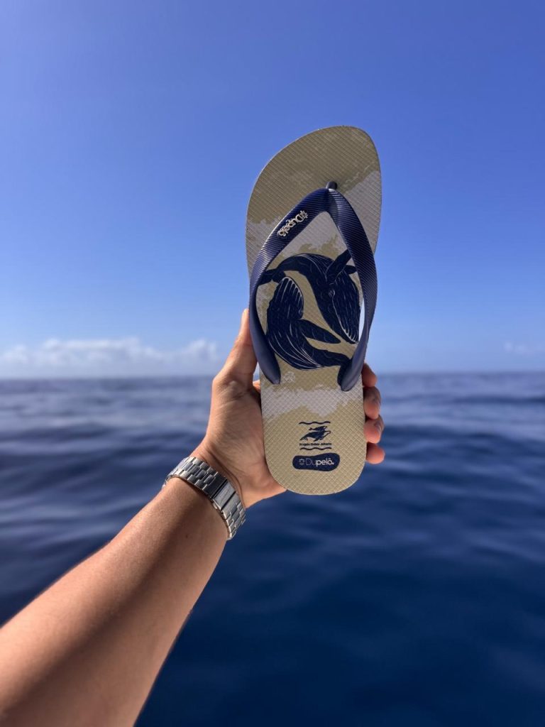 Projeto Baleia Jubarte celebra parceria com a Dupelô