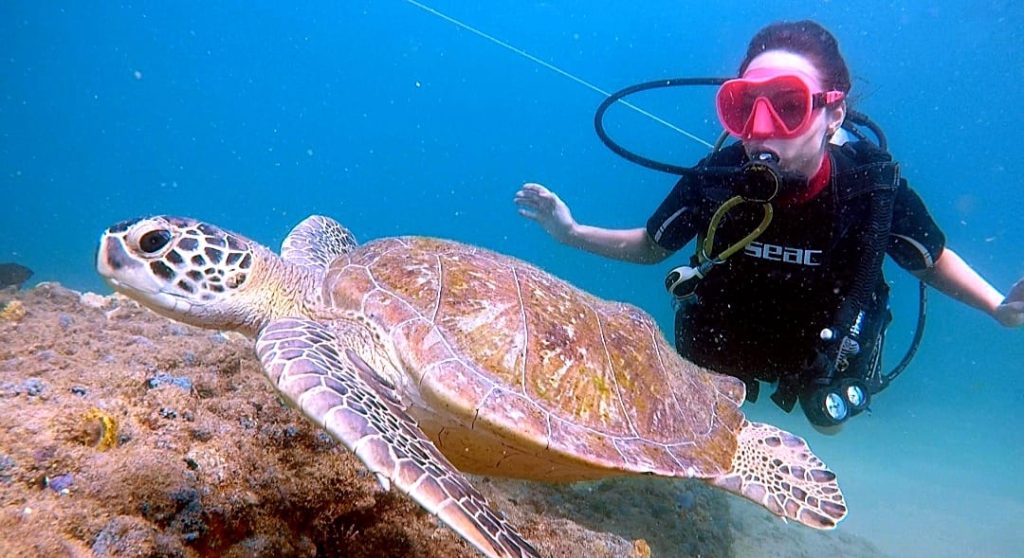 Mergulho atrai praticantes ao entorno do Farol da Barra em Salvador