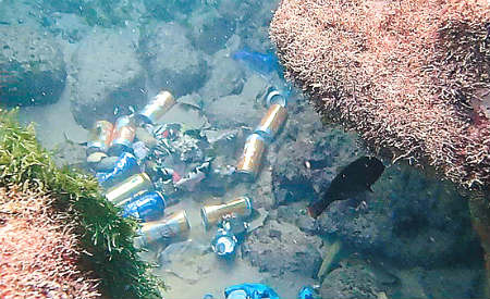 Vídeo denuncia acúmulo de lixo no Parque Marinho da Barra durante o Carnaval em Salvador