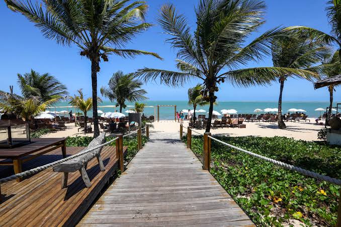 Talento aquático: sereia faz aparição em barco nas águas de Porto Seguro